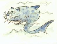 Cartoon  Druckgrafik Titel: Katzenhai  -  zum vergrößern auf die Grafik klicken
